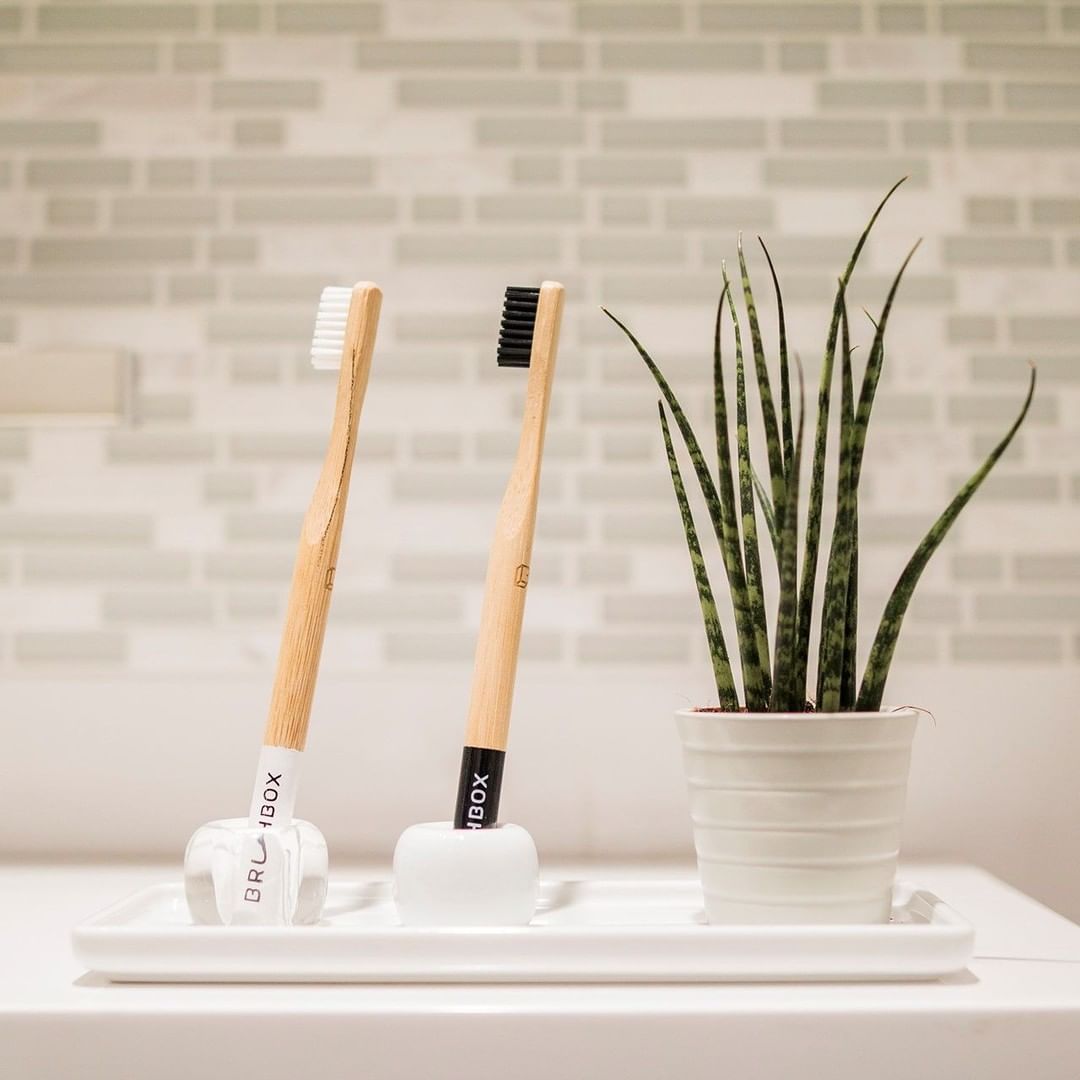 brushboxuk 118268194 388683005447969 5403598931283416766 n min