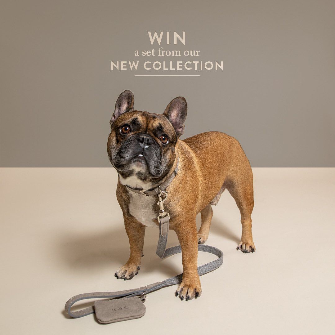 ralphandcosocial 92555986 143426623861841 9199287717644023169 n min